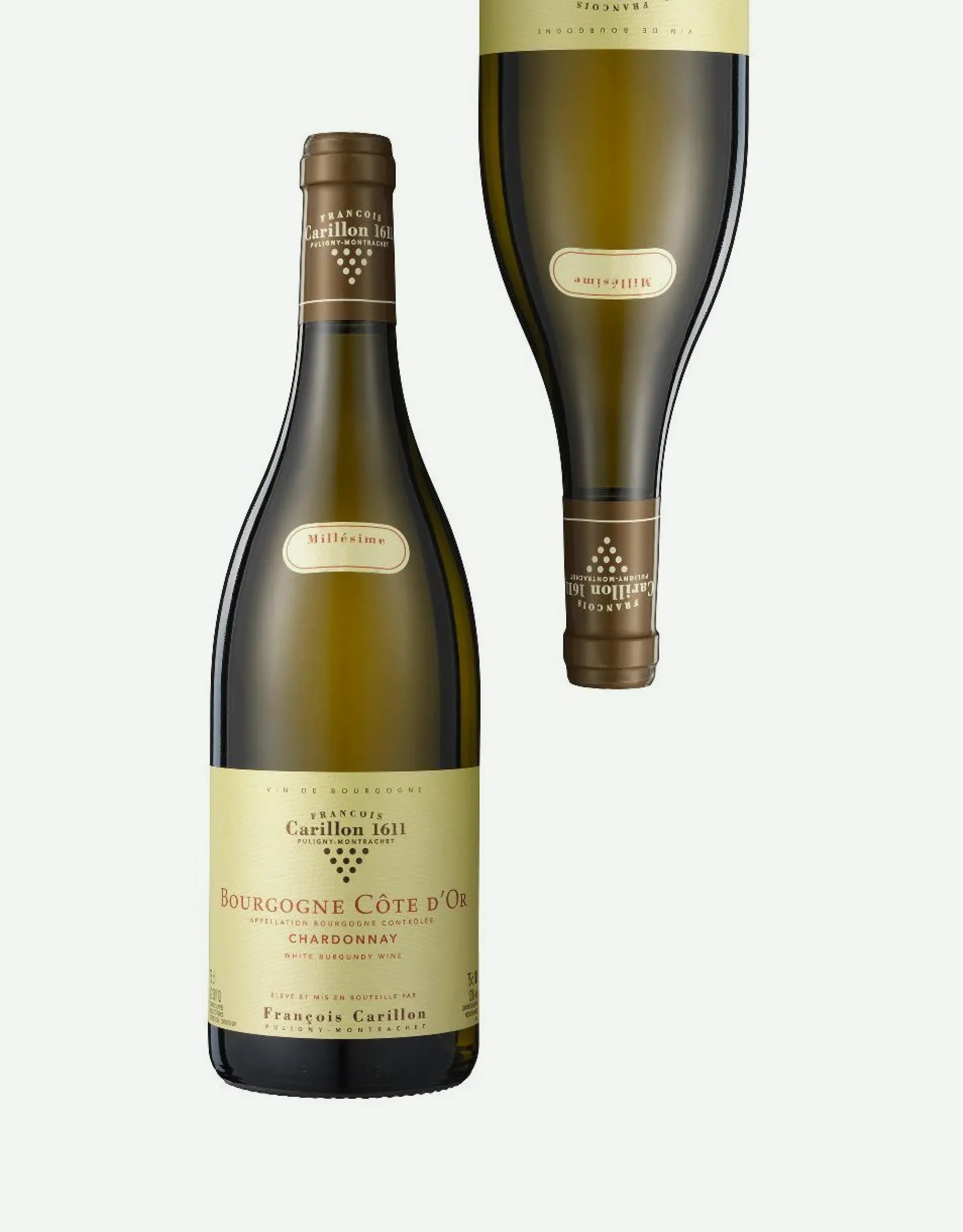 Bourgogne Cote d'Or 2023 Magnum